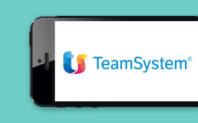 TeamSystem - Direct Marketing Synectix