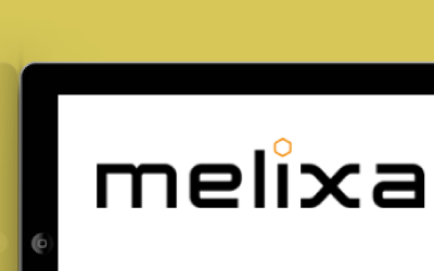 portfolio web marketing melixa